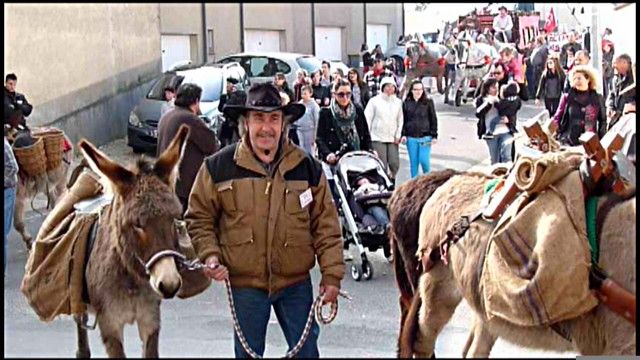 carnaval 2013 (145).jpg